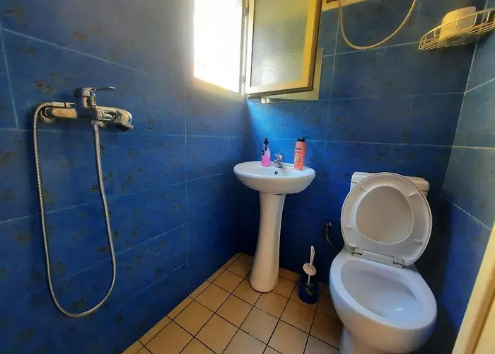 Lovely Amd Quite Appartament 1-1 Tirana